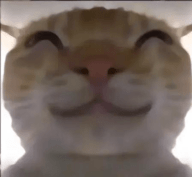 亚洲城澳门葡京偷吃模拟器开容器模拟器下载-亚洲城澳门葡京偷吃模拟器开容器模拟器手游官方下载v1.0.6